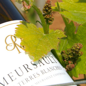 3--pierre-morey-bouteille-dÇtail-- 3--pierre-morey-bouteille-dÇtail--